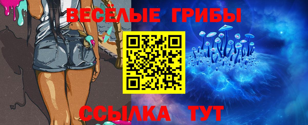 Псилоцибиновые грибы мухоморы Фрязино