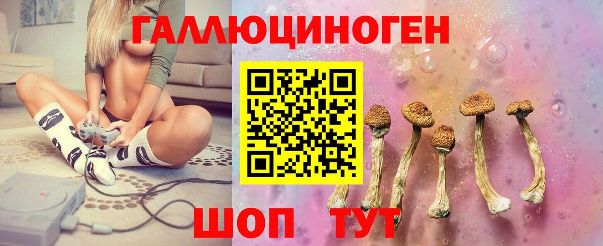 Галлюциногенные грибы Psilocybine cubensis  Вход с VPN  Фрязино 