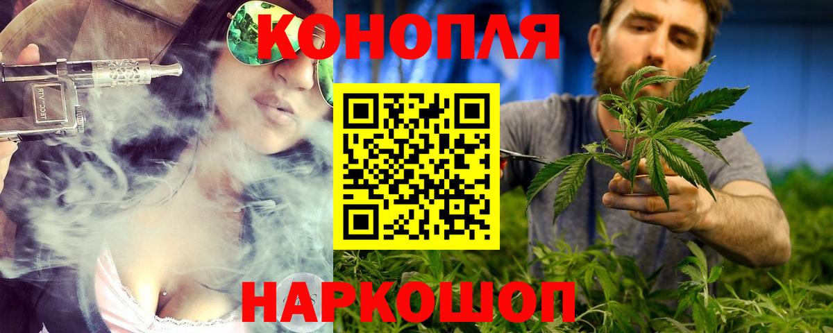 Конопля конопля Фрязино